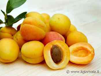 Albicocche, proprietà e benefici