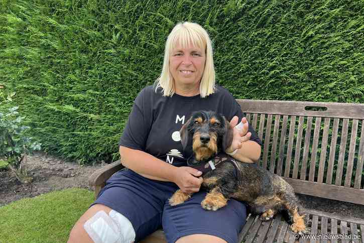 Sabine en hondje Otto lopen bijtwonden op door loslopende Stafford: “Eigenaar zei: de blauwe gebeld? Dan ben ik weg!”