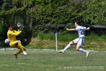 Macht die SpVgg SV Weiden gegen den FC Passau ihr Meisterstück? - OberpfalzECHO