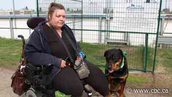 Edmonton temporary off-leash dog parks not accessible, disability advocates say