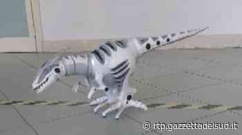 Messina, al Majorana il nuovo robot dinosauro - Messina