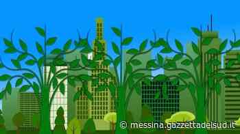 Messina, parte la forestazione urbana - Gazzetta del Sud - Edizione Messina