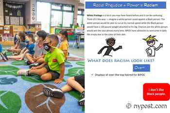 DC school gave 4-year-olds ‘anti-racism’ ‘fistbook’ asking them to identify racist family - New York Post