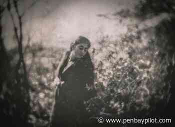 Waterfall Arts to host Season Kickoff with exhibition opening, related workshops, artist talk on Belfast trail with artist Karen Olson - PenBayPilot.com