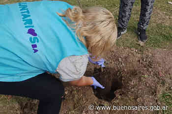 Voluntari sBA: sumate a una jornada de plantación - buenosaires.gob.ar