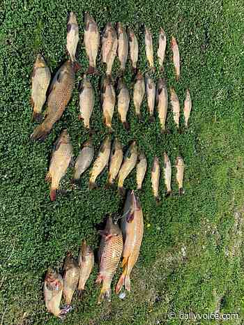 Fish Seized, $4200 In Fines Issued After Trio Exceeds Daily Carp Limit On CT River - Daily Voice