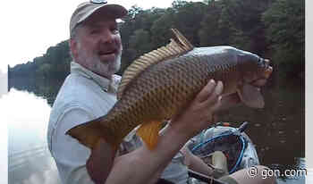 Carp On A Fly Is A Chattahoochee River Record - gon.com