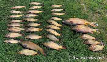 Anglers fined thousands for gross over-limits of carp - For The Win