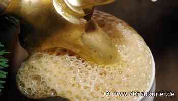 Corona-Hilfen: Meiste Anträge aus Gastgewerbe: Über 92 Millionen Euro für Ingolstädter Wirtschaft - donaukurier.de