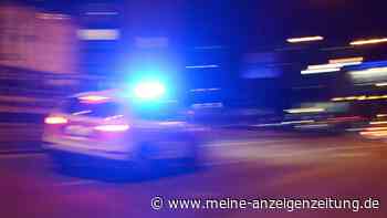 22-Jähriger rastet im Zug aus und schlägt auf Zugbegleiterin ein