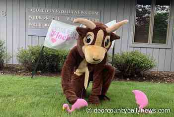 Community flocks for childcare - DoorCountyDailyNews.com