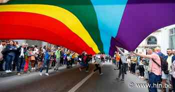 VUB en ULB opnieuw verenigd tijdens Pride | Brussel | hln.be - Het Laatste Nieuws