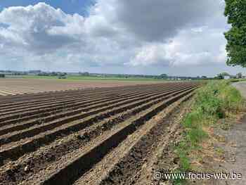 Staden dient bezwaar in tegen stikstofakkoord - Focus en WTV