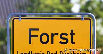 Dorfmoderation: Abschluss im Juli - Forst - DIE RHEINPFALZ - Rheinpfalz.de