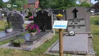 Stad Peer maakt begraafplaatsen klaar voor de toekomst - TV Limburg