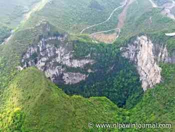 Ancient forest discovered in China — in the bottom of a sinkhole - Nipawin Journal