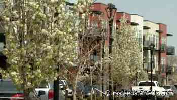 Marshall Fire survivors see some of the highest rent hikes in the state