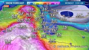 Heavy wet snow impacts trees, travel in Colorado