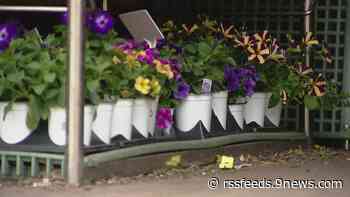 Plants, plows and power lines: Colorado prepares for snow