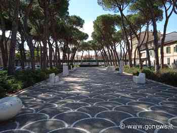 Pini a rischio in piazza Garibaldi a Pontedera, indetta la consulta locale - gonews