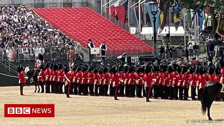 Trooping the Colour: Spectators injured at rehearsal - BBC