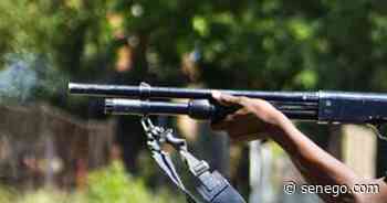 Saint-Louis : Un berger fusillé par un gardien de périmètre agricole - Senego.com - Actualité au Sénégal