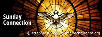 St. Thomas the Apostle Parish, Markham - Sunday Connection for May 22, 2022 - Archdiocese of Toronto