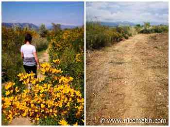 Lettre de dénonciation, nouvelle plainte, venue du procureur... de nouveaux éléments concernant le Terme Blanc à Villeneuve-Loubet