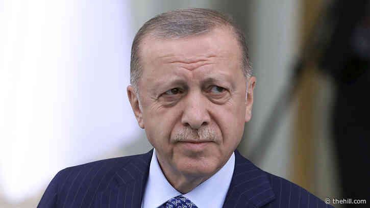 US frustrated over ‘problematic’ NATO ally Turkey