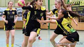 Finalrunde mit Heimvorteil: PSG Peine will Saison mit Titel krönen - Peiner Allgemeine Zeitung - PAZ-online.de