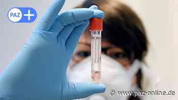 Corona-Lage in Peine: 640 Neuinfektionen in sieben Tagen - Peiner Allgemeine Zeitung - PAZ-online.de