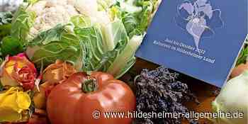 „Essenszeit“: Zwölf Gaststätten im Kreis Hildesheim kreieren besondere Gerichte mit vier Zutaten - www.hildesheimer-allgemeine.de