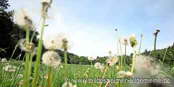 Jahnswiese in Hildesheim wird offizieller Grillplatz der Stadt - www.hildesheimer-allgemeine.de