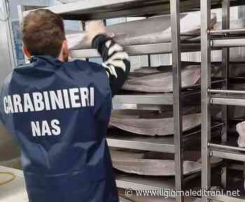 Tonno adulterato, indagine della Procura di Trani a carico di un'azienda di Bisceglie - ilgiornaleditrani - Radio Bombo