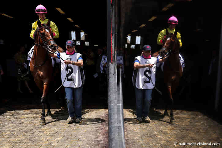Preakness Updates | Updated Odds Show Support For Fenwick