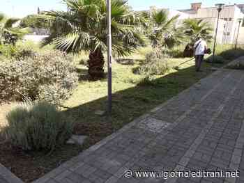 Trani e il verde che si perde: oggi iniziati gli sfalci d'erba nelle scuole - Radio Bombo