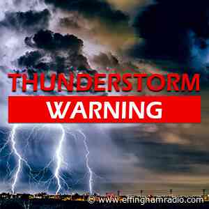 Severe Thunderstorm Warning Issued for Jasper, Shelby, Cumberland, Clay, and Effingham Counties Until 7:30pm - Samantha Laturno