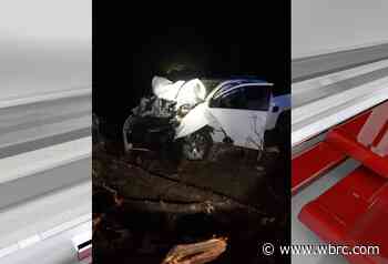 Man killed in single car wreck on Warrior-Jasper Road - WBRC