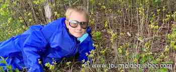 Accompagné de son cochon, un enfant démarre sa propre entreprise à Gatineau