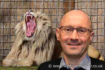 Coldplay and Adele are even more boring than kale and quinoa - Watford Observer