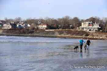 Newport, Rhode Island: A Dog Friendly Guide - Forbes - Rhode Island