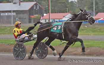 Ranger nails four at Cumberland - Harnesslink