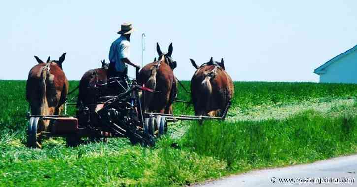 Armed Feds Pay a Visit: Amish Farmer Faces Hundreds of Thousands in Fines