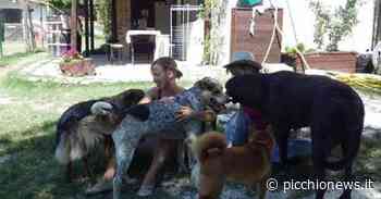 Recanati, domenica in piazza per gli amanti dei cani con “Quattro zampe alla riscossa” - Picchio News
