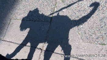 Freilassing: Herrchen lässt bei über 30 Grad in Auto zurück - Polizei ermittelt - rosenheim24.de