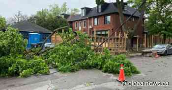 At least 2 dead after severe thunderstorm sweeps through southern Ontario