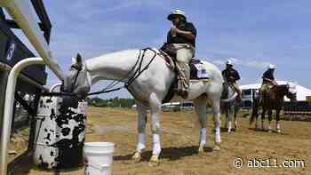 Early Voting crosses finish line first at Preakness Stakes