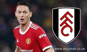 Fulham 'want to convince Nemanja Matic into staying in the Premier League'