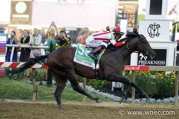 Early Voting wins Preakness Stakes