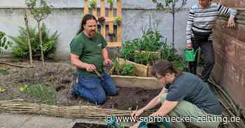 VHS Neunkirchen : Urban Gardening in Neunkirchen - Saarbrücker Zeitung